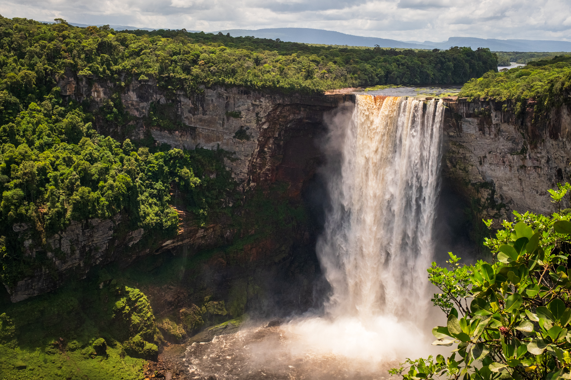 Guyana Wildlife Tour | Wilderness Explorers