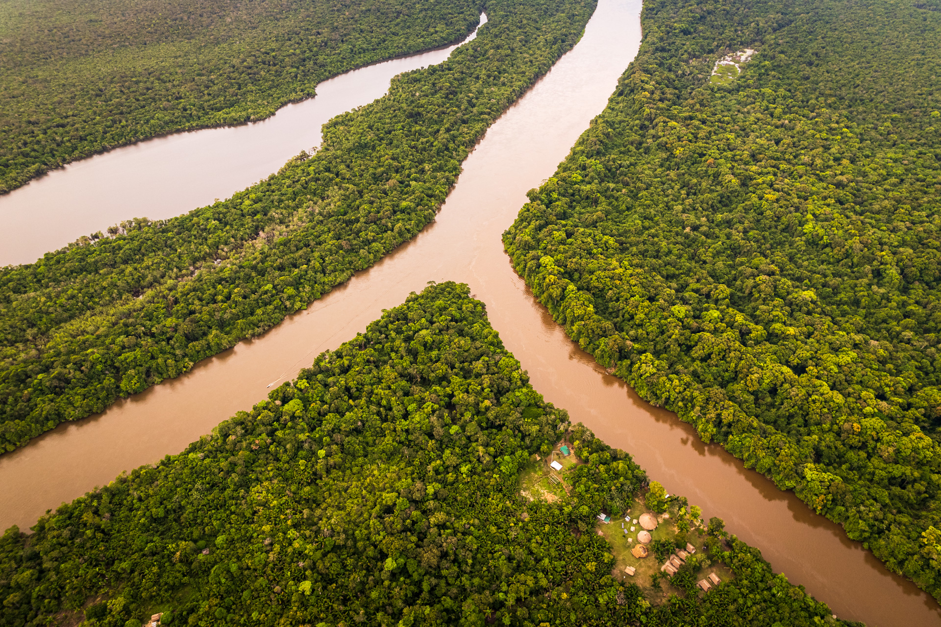 Guyana Wildlife Tour | Wilderness Explorers