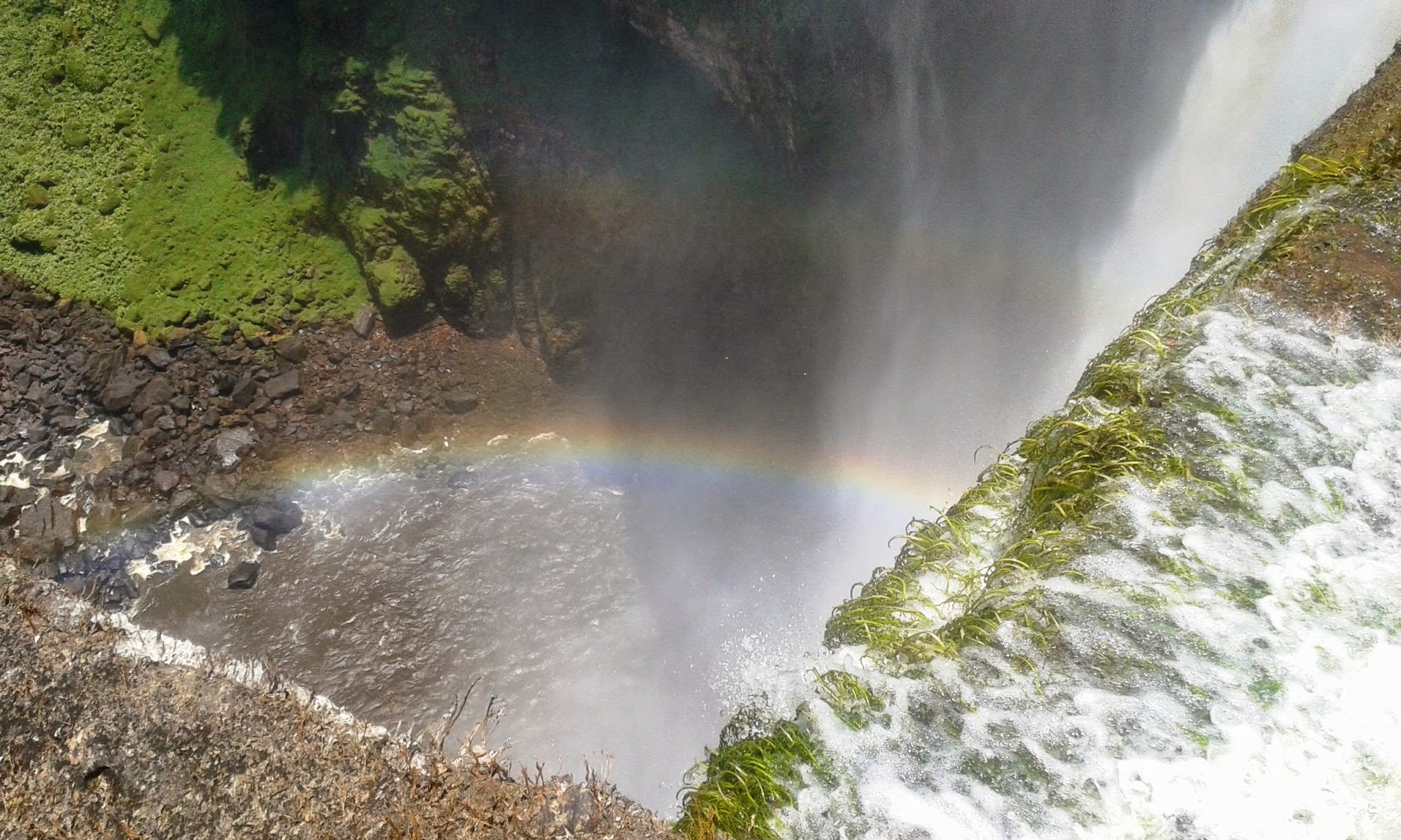 kaieteur falls day trip