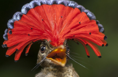 Stunning Guyana photography from Andrew Snyder