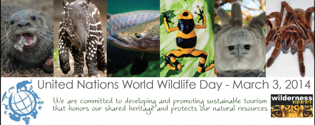 Wilderness Explorers honors the UN’s inaugural World Wildlife Day