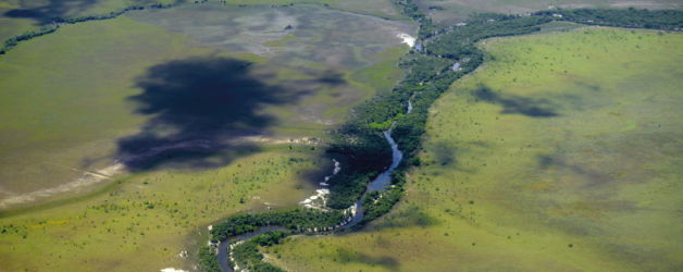 The biodiversity of Guyana’s Rupununi