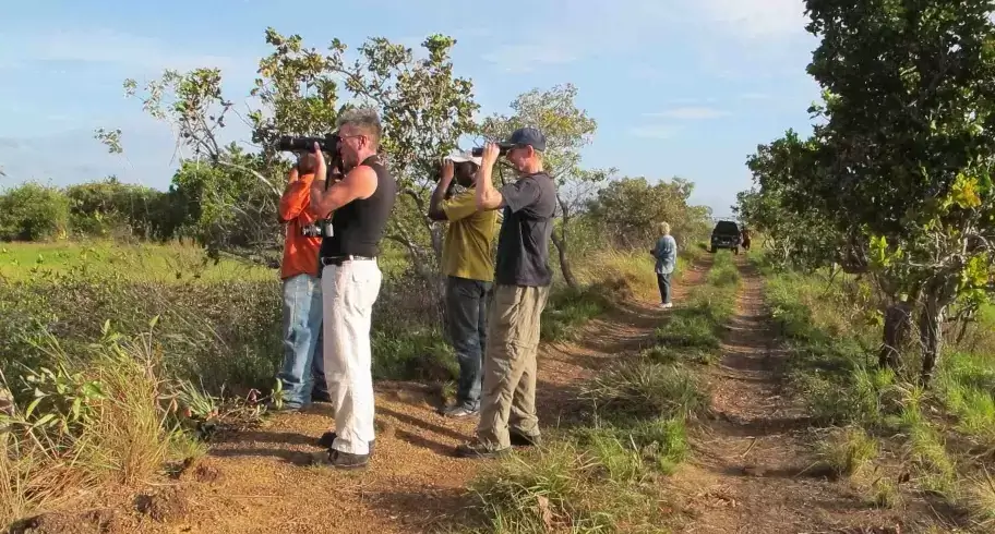 guyana birding on a budget tour