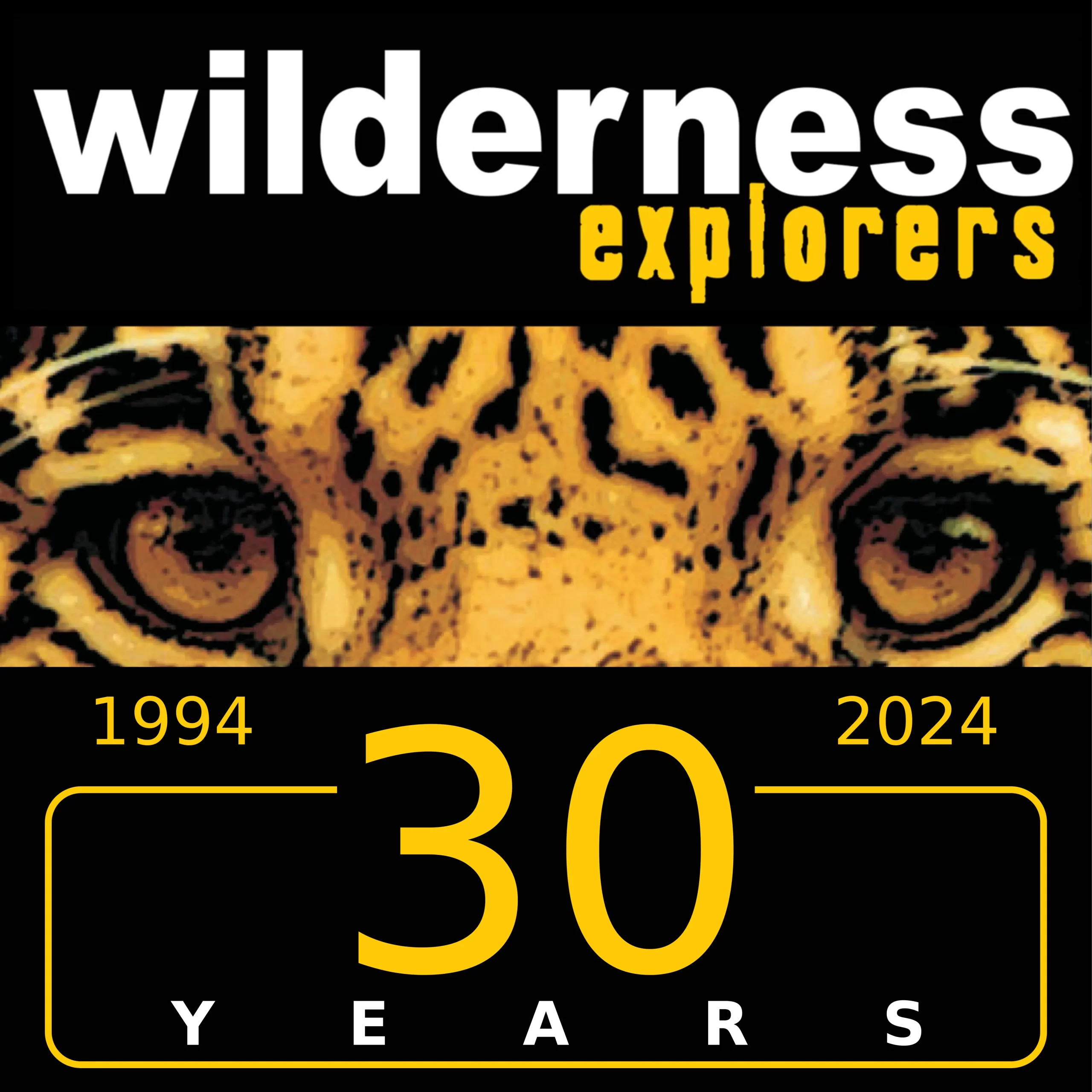 wilderness explorers 30 years logo
