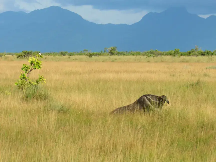 70950929_743088946112624_6633461273663111168_o