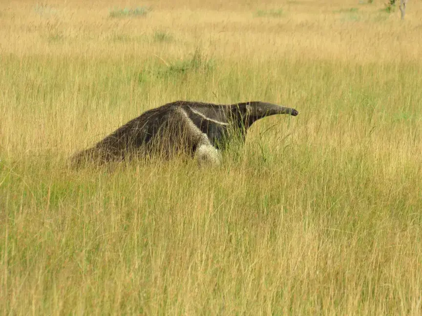 71141963_743089189445933_1776679111083687936_o