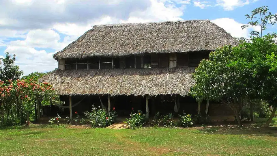 Caiman-House-Featured-Image