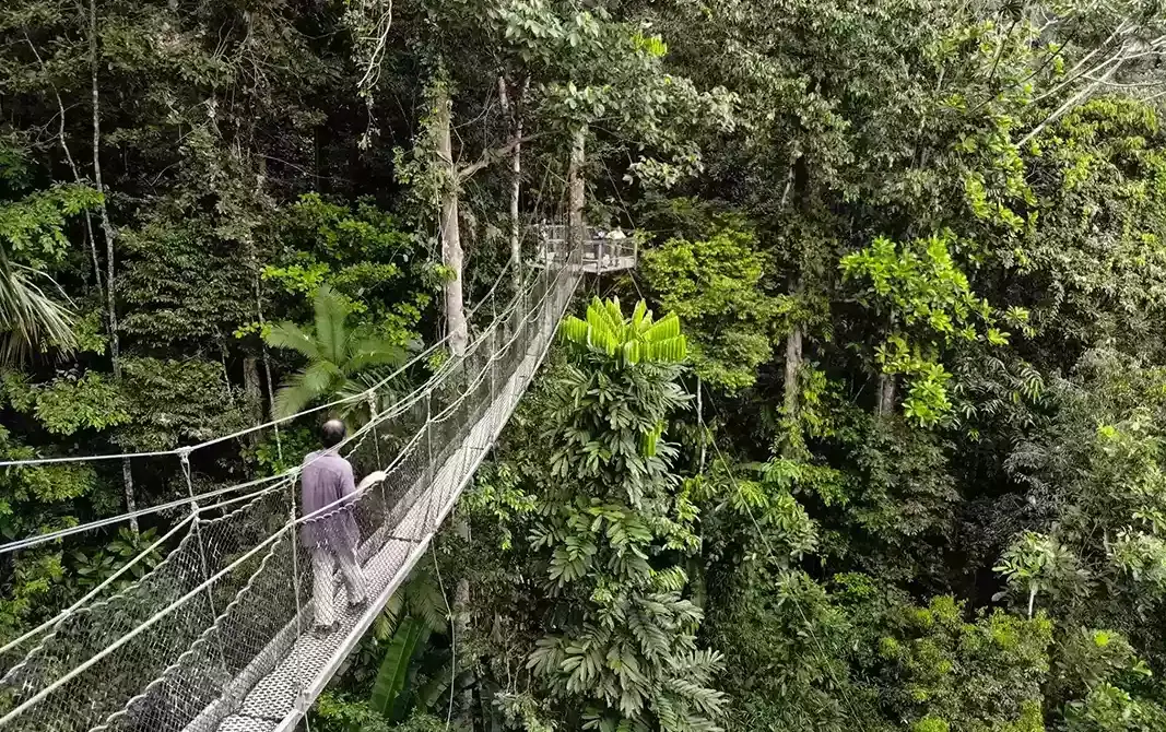 Guyana’s Rainforest and Rupununi