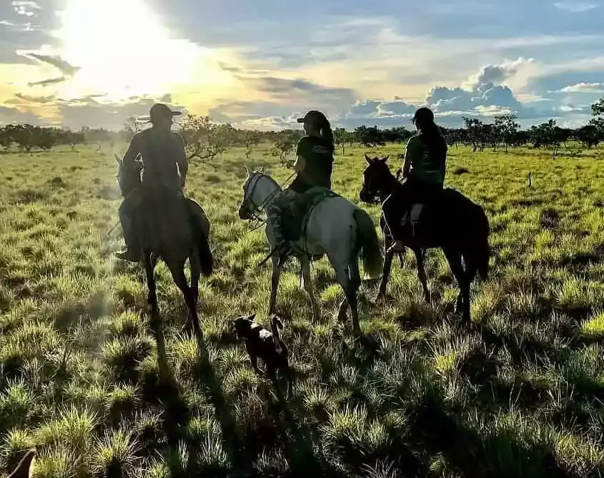 Saddle-Mountain-Ranch-14.jpg_compressed