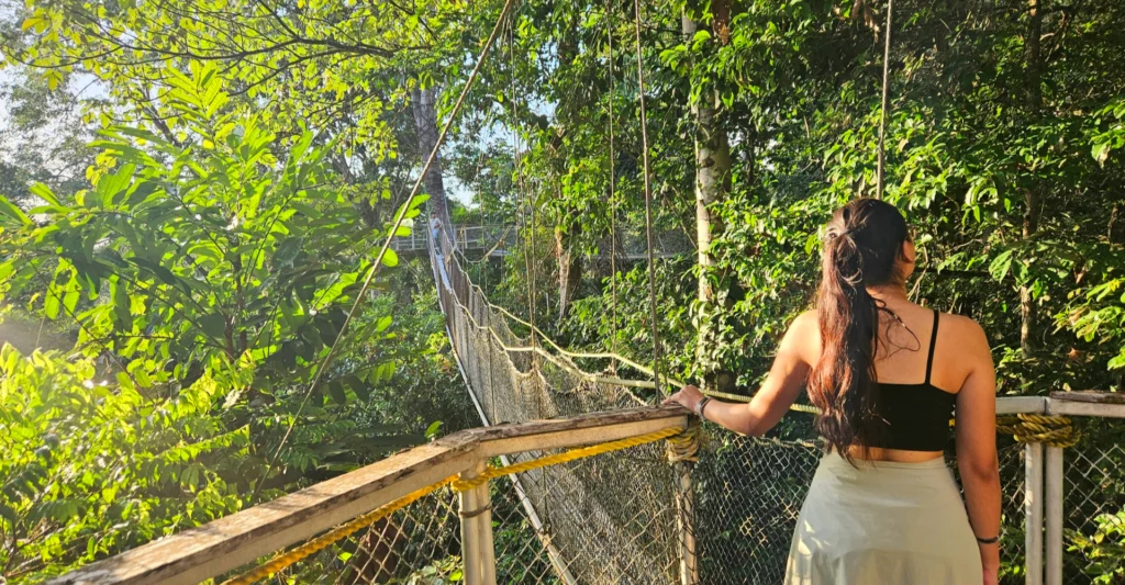 Guyana jungle rainforest