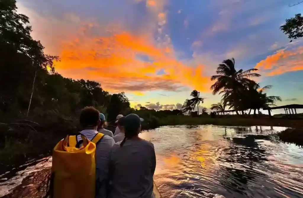 Embark on an Unforgettable Adventure this Holiday Season: Explore the Wild Guianas!