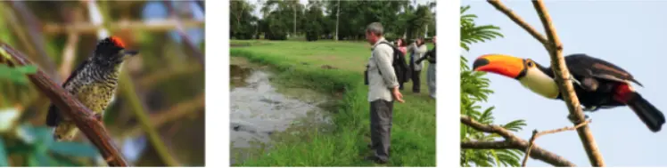 GTA Mash Package tour