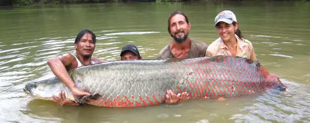 Arapaima Conservation at Rewa