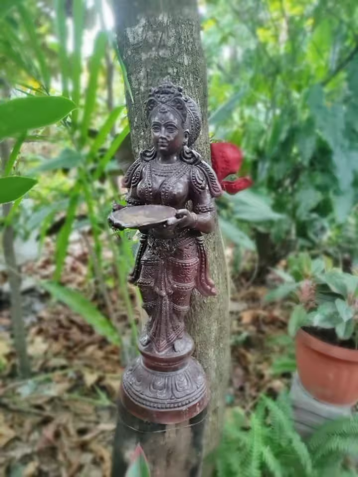 Rainforest B&B©Leon Hardowar (4)