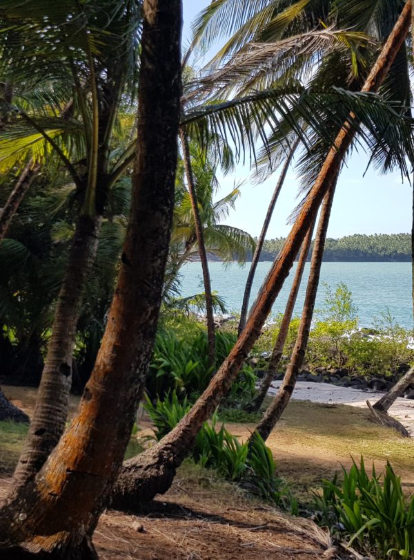 Suriname Tours - Devils Island