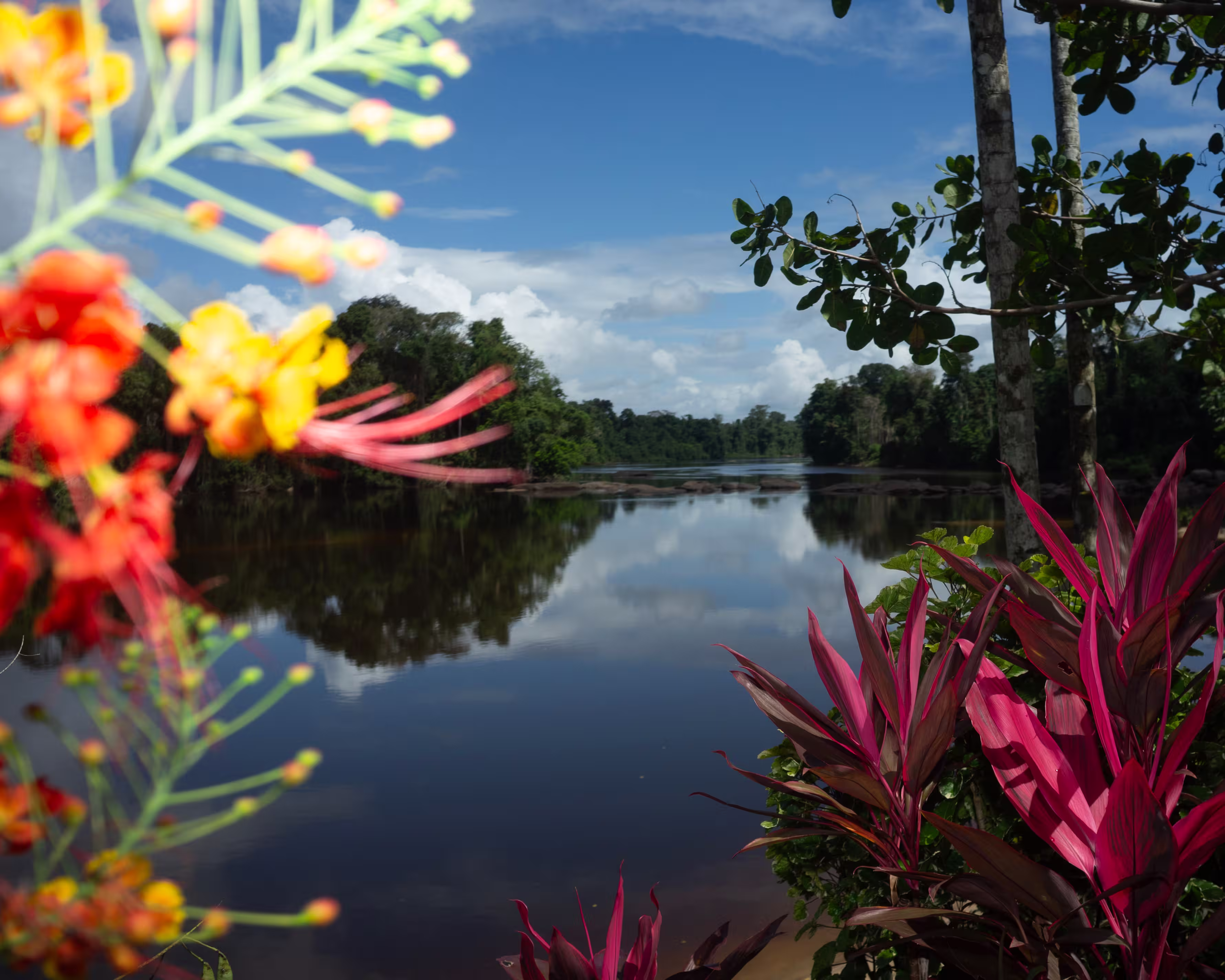 French Guyana