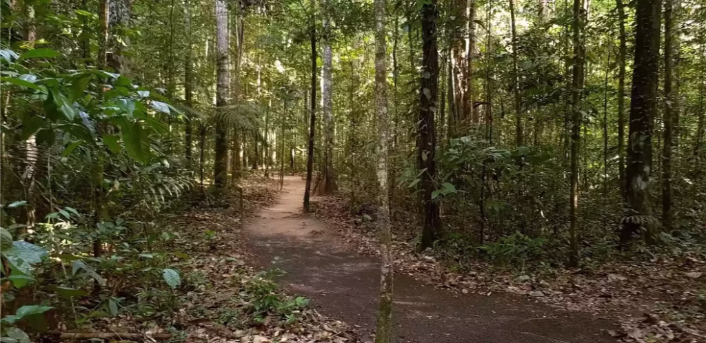 Guyana’s Rainforest and Rupununi