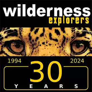 wilderness explorers 30 years anniversery logo