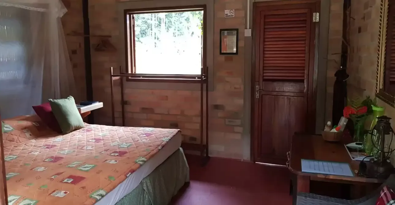 imgi_10_Atta-Rainforest-Lodge-1-scaled-2-1290x670