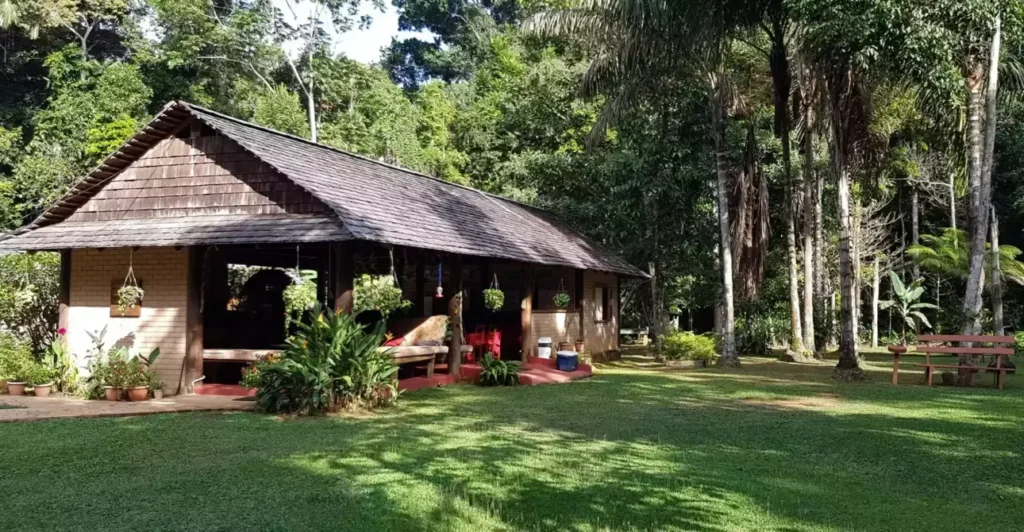 atta rainforest lodge