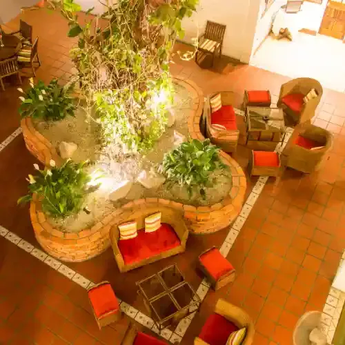 imgi_43_Mango-tree-patio