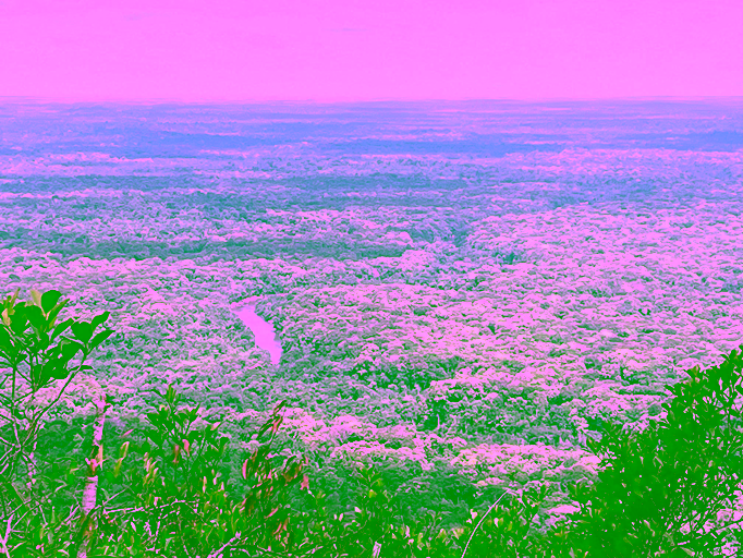 Veiw from one of our 3 lookout spots.