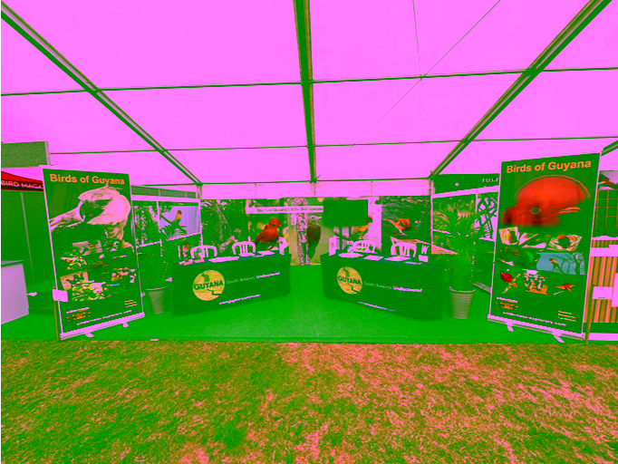 Guyana displays at the Global Birdfair 2026 stand