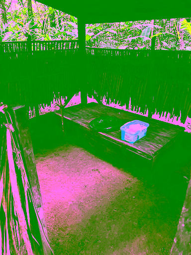 WhatsApp Image 2026-07-28 at 06.48.55