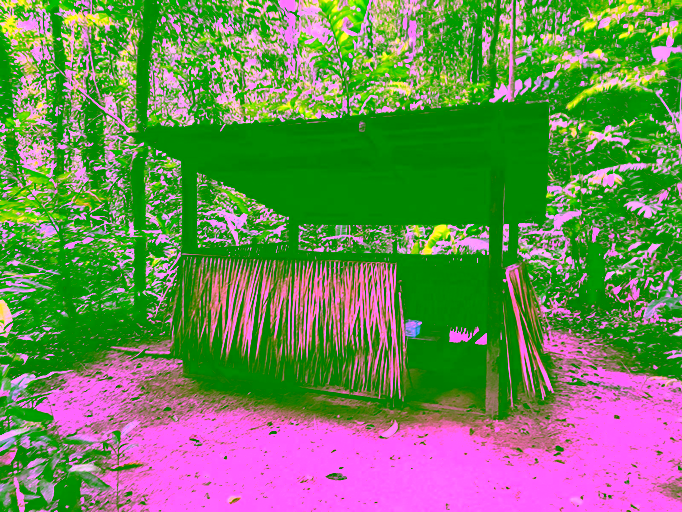 mapari camp wilderness guyana