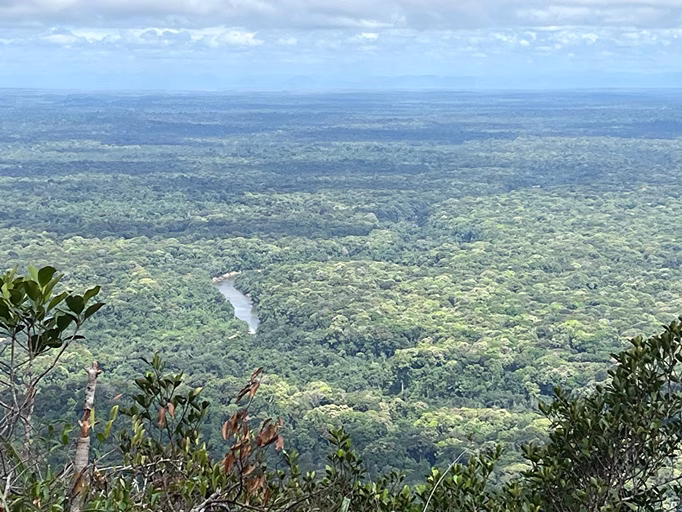 Mapari lookout in forest