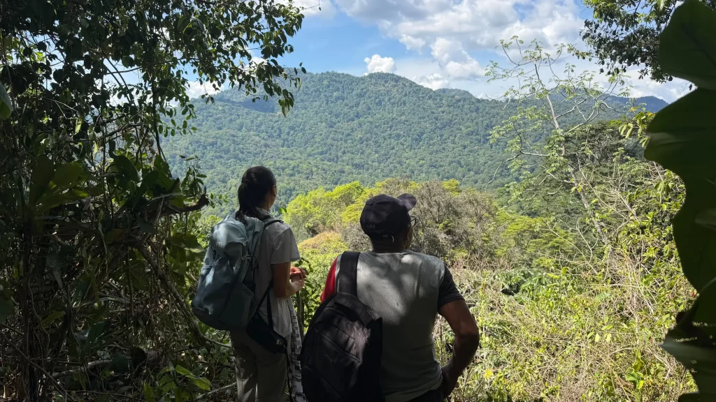 Hikers looking out over the forested Kanuku Mountains near Mapari Wilderness Camp, Guyana